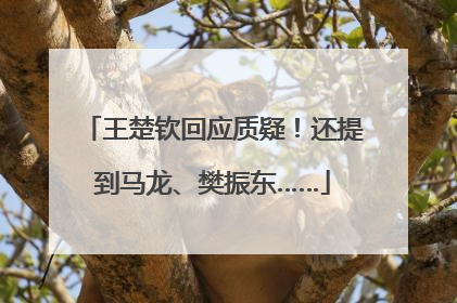王楚钦回应质疑！还提到马龙、樊振东……